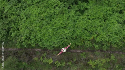 Young woman standing in nature with arms outstretched photo