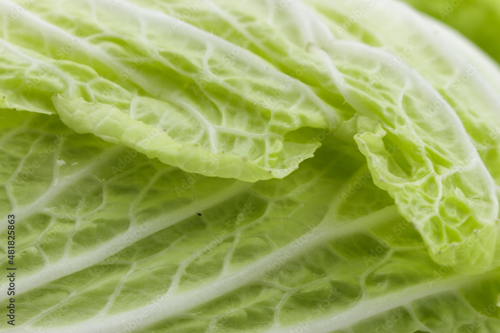 Chinese cabbage leaf close-up, vegetarian diet, food background. Chinese cabbage leaf close-up, vegetarian diet, food background.