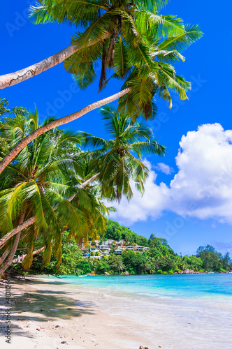 Fototapeta Naklejka Na Ścianę i Meble -  Paradise beach scenery. Exotic tropical holidays. Idyllic landscape with palm trees over turquoise sea, Seychelles