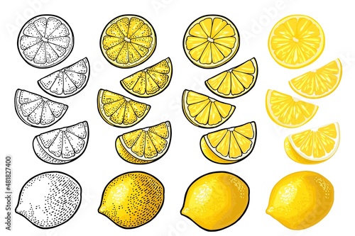 Lemon slice and whole. Vector color vintage engraving and flat