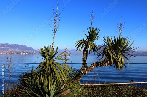 Italy, Piedmont: Foreshortening of Maggiore Lake in Stresa.