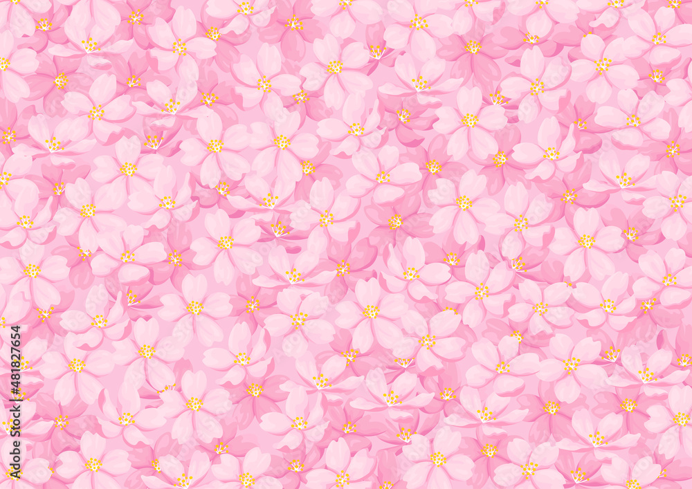 桜の花の背景イラスト　ベクター素材