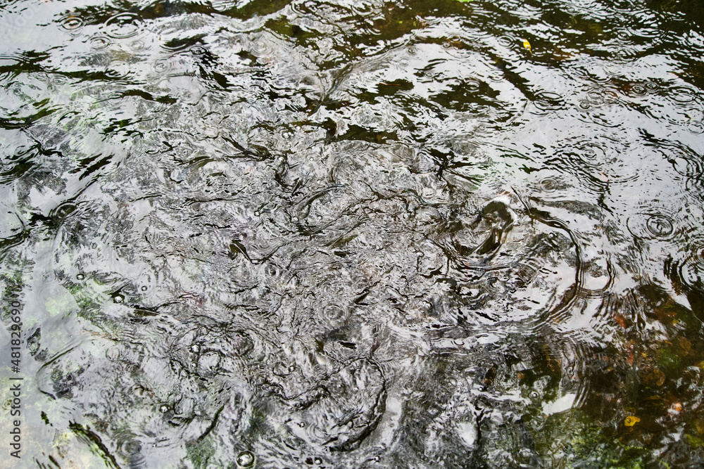 Ripples of water at rainy day. Ripples of water at rainy day.