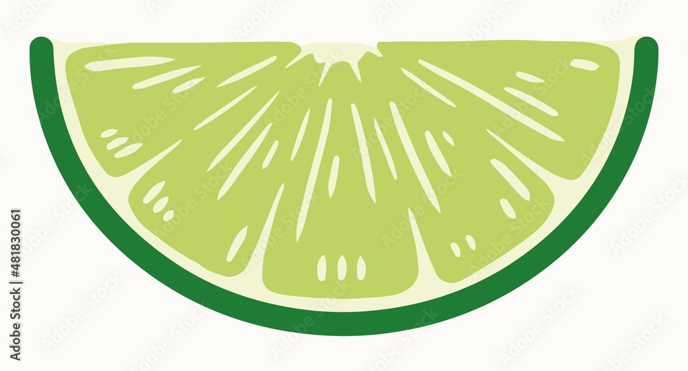 Fototapeta premium Slice of lime in vintage style