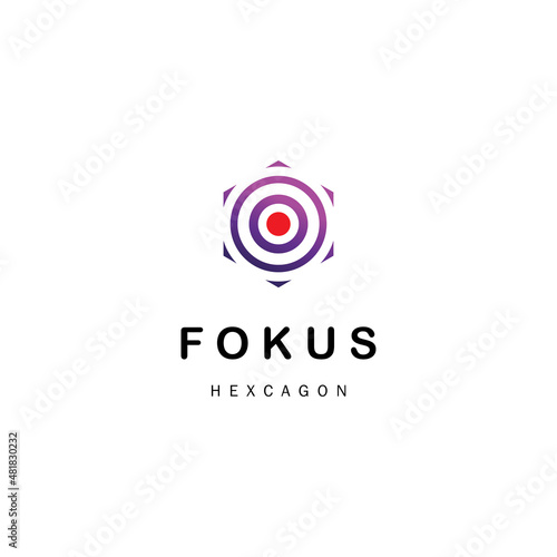 focus hexagon logo color vector template design illustration