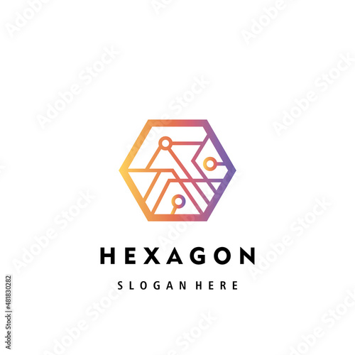 hexagon logo element illustration color design vector template electric circuit
