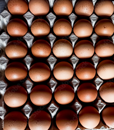Eggs on a paper tray