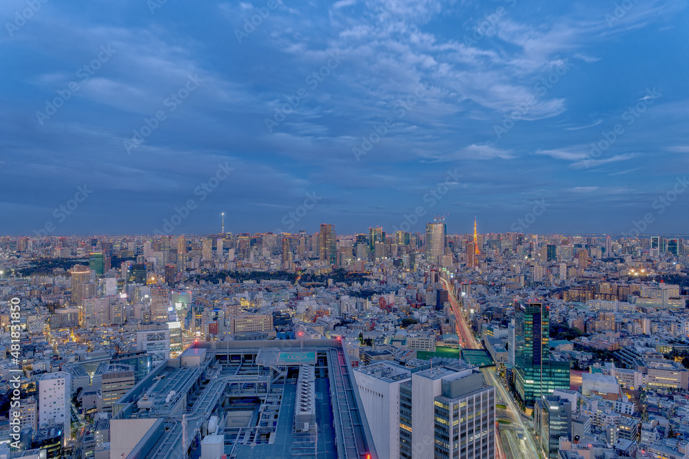 Fototapeta premium 東京都渋谷区の高層ビルから見た夜の東京の都市景観