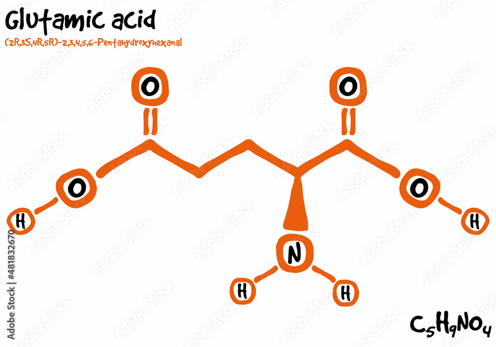 Large and detailed isolated drawn molecule and formular of Glutamic acid. - obrazy, fototapety, plakaty 