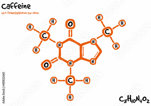 Large and detailed isolated drawn molecule and formular of Caffeine.