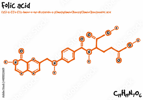 Large and detailed isolated drawn molecule and formular of Folic acid.