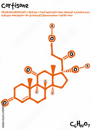 Large and detailed isolated drawn molecule and formular of Cortisone. photo