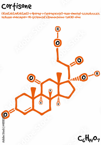Large and detailed isolated drawn molecule and formular of Cortisone.