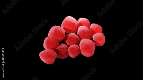 Staphylococci, a spherical shaped bacteria, Staphylococcus aureus appears as grape-like clusters. It can cause skin and bloodstream infections. 3D illustration on black background photo