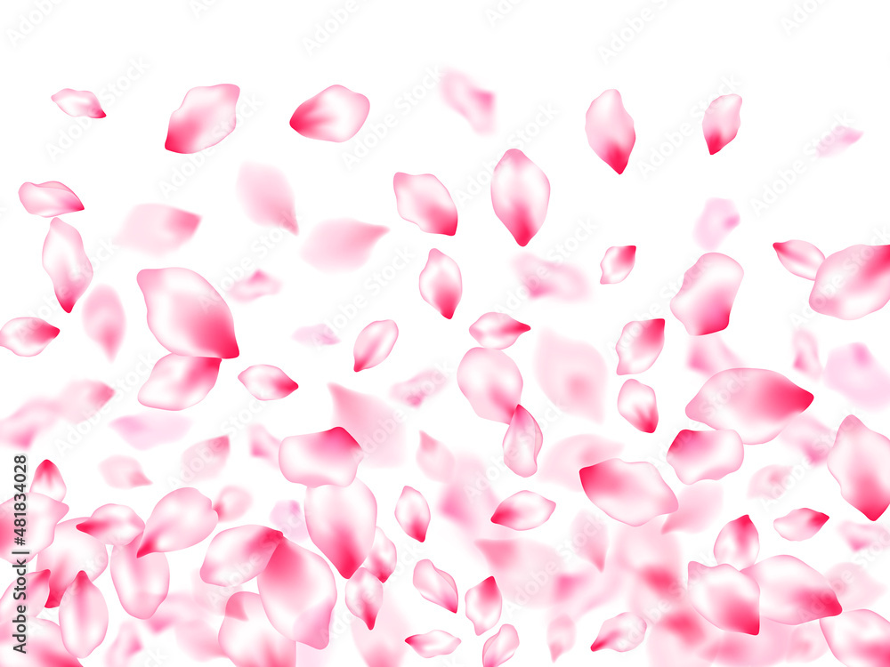 Japanese cherry blossom pink flying petals