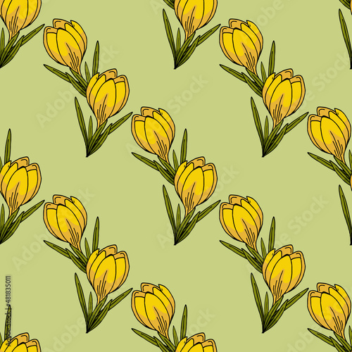 Seamless pattern with beautiful yellow crocus on light green background. Spring flowers. Doodle style. Vector image.