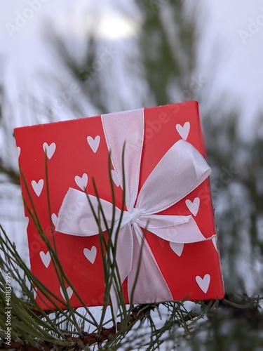 craft red white gift boxes with hearts to st valentines day  on the pine tree	 photo