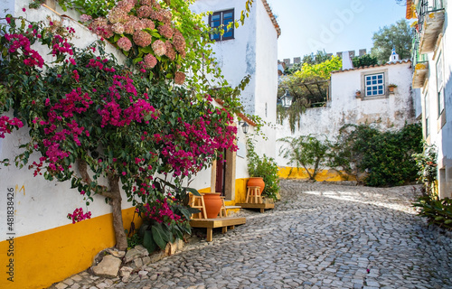 Принти на полотні Óbidos is a beautiful town full of whitewashed houses covered with bougainvillea