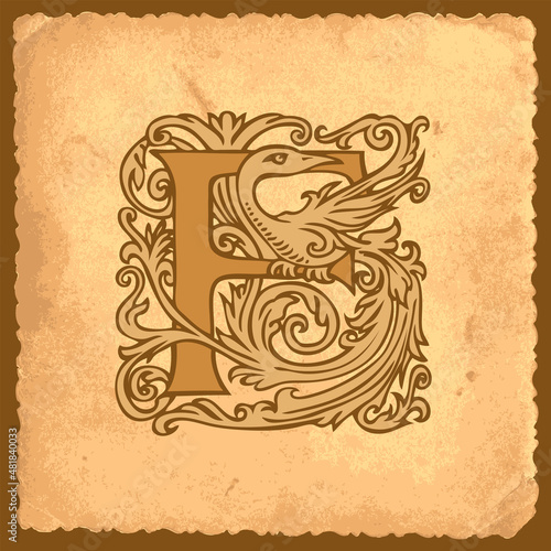 Beautiful initial letter F with Baroque decorations on an old paper background in vintage style. Filigree capital letter F suitable for monogram, logo, emblem, label, greeting card or invitation