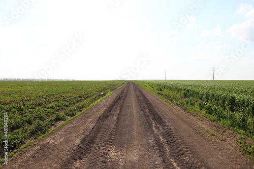 Road through agricultural fields with traces of agricultural machinery wheels