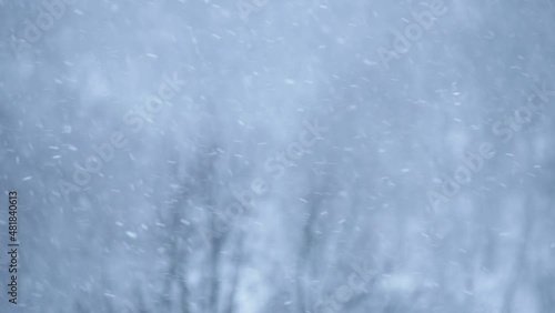 focusing through snow storm during cloudy winter day
