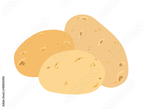 Potato. Several tubers of potatoes. Raw vegetable in peel. Fresh potatoes are yellow-brown in color. Vector illustration isolated on white background. Brush paint drawing. Product design element