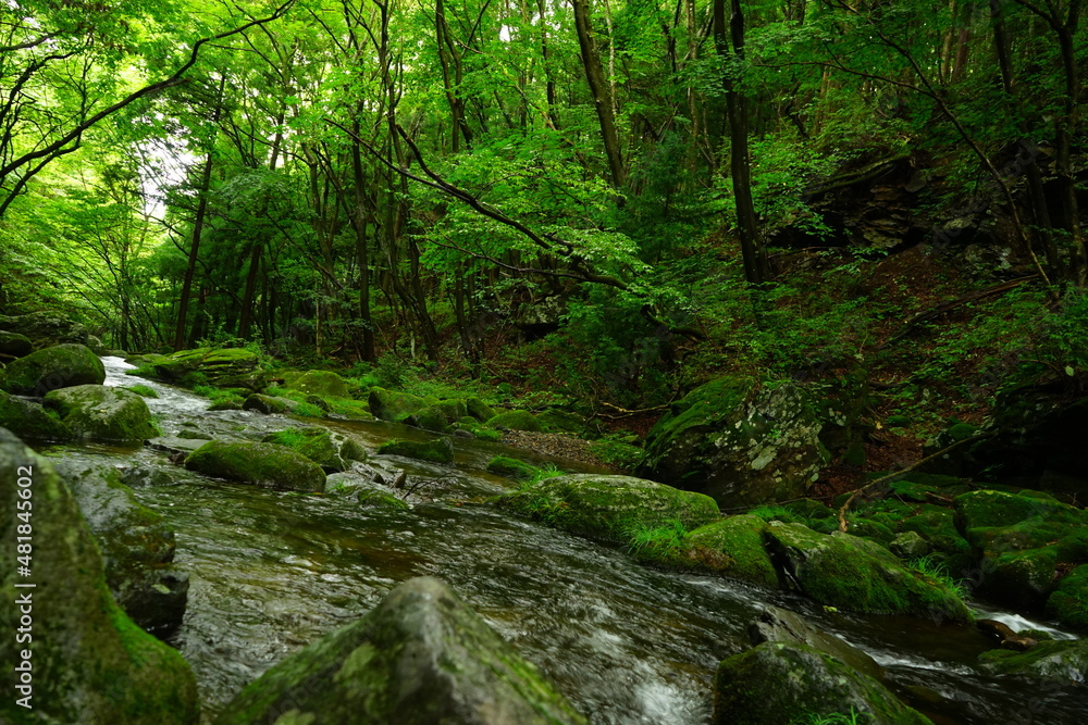 Otome Waterfall or Otome-no-taki and Green Moss Canyon in Nasu, Tochigi, Japan - 日本 栃木県 那須塩原 乙女の滝 Otome Waterfall or Otome-no-taki and Green Moss Canyon in Nasu, Tochigi, Japan - 日本 栃木県 那須塩原 乙女の滝