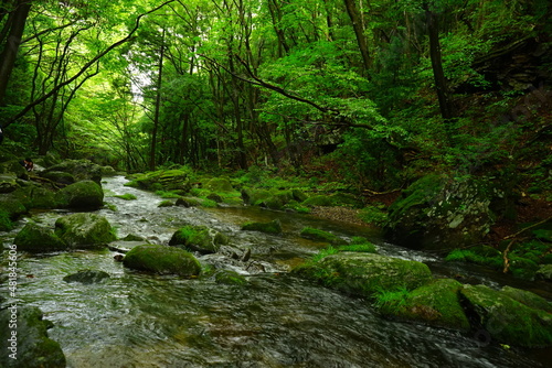 Otome Waterfall or Otome-no-taki and Green Moss Canyon in Nasu  Tochigi  Japan -                                           