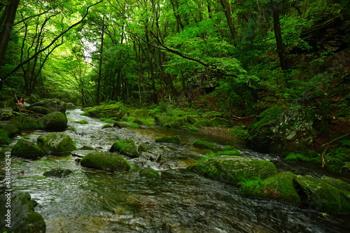Otome Waterfall or Otome-no-taki and Green Moss Canyon in Nasu, Tochigi, Japan - 日本 栃木県 那須塩原 乙女の滝 © Eric Akashi