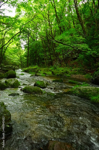 Otome Waterfall or Otome-no-taki and Green Moss Canyon in Nasu  Tochigi  Japan -                                           