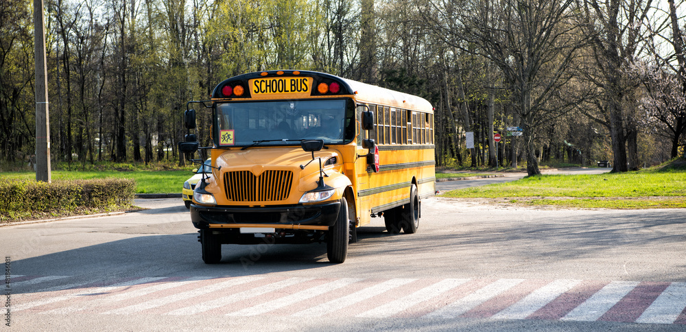 Fototapeta premium Yellow school bus parked at street outdoors, transport
