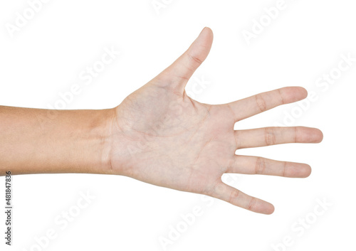 Fmale hand showing sign - five fingers, number five on white background. Sixth photo in the set