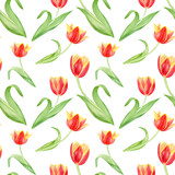 Watercolor hand drawn seamless floral pattern. Red and yellow tulips, spring flowers on white background. 