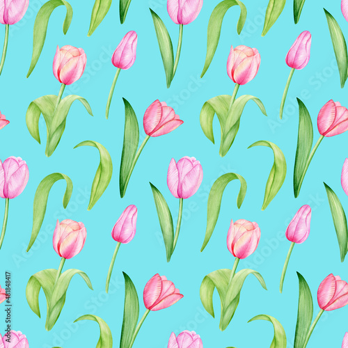Watercolor seamless pattern with spring flowers, pink tulips floral ornament on blue background. © Svetlana