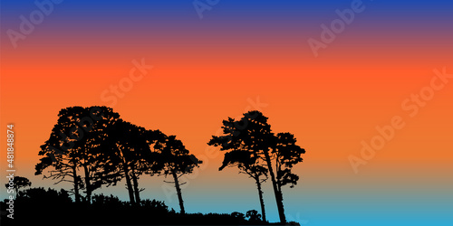 Pines trees silhouettes at sunset. Wild landscape or woodland with coniferous trees and evening sky.Night forest banner with copy space.Twilight of nature and northern lights.Stock vector illustration
