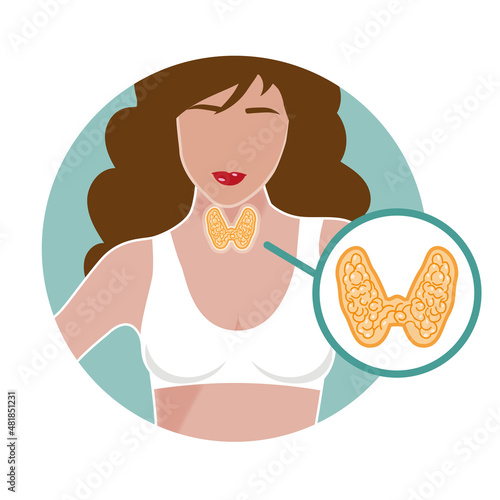Thyroid organ view in a female body
