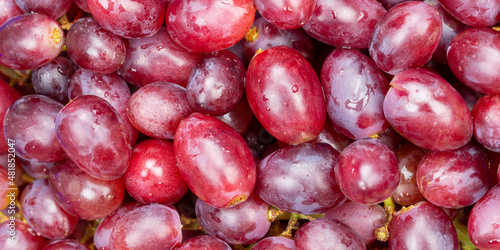 Photography Red grapes grape fruits fruit background from above panorama