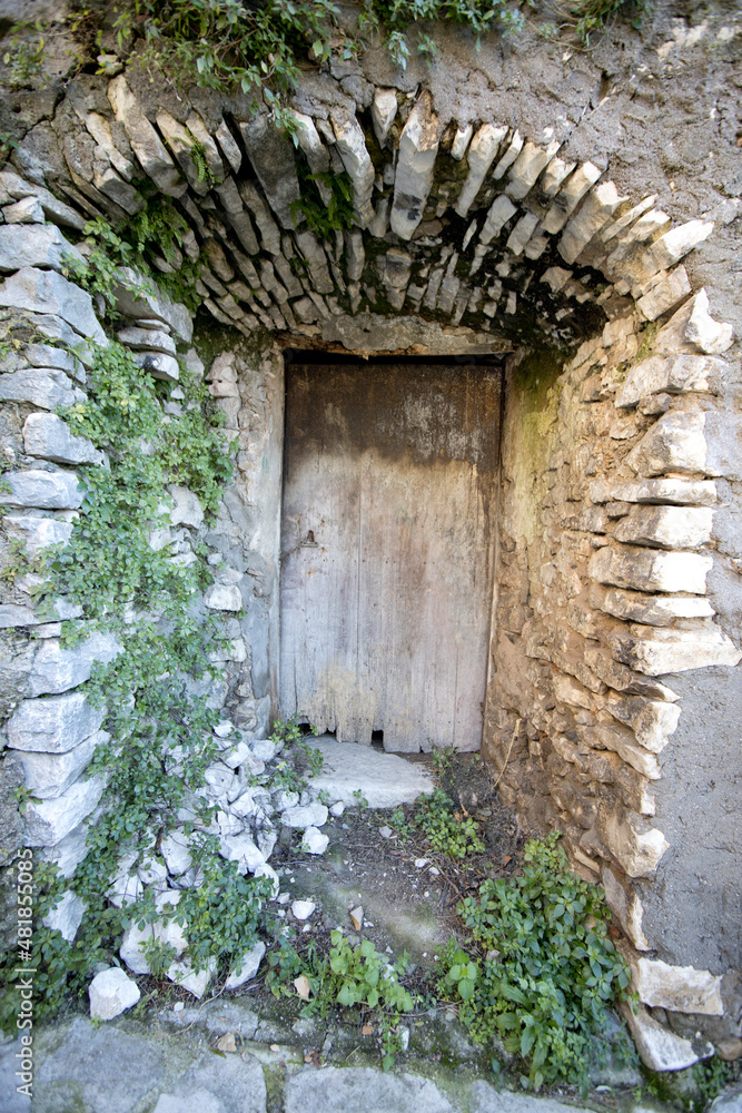 Naklejka premium decorated doors