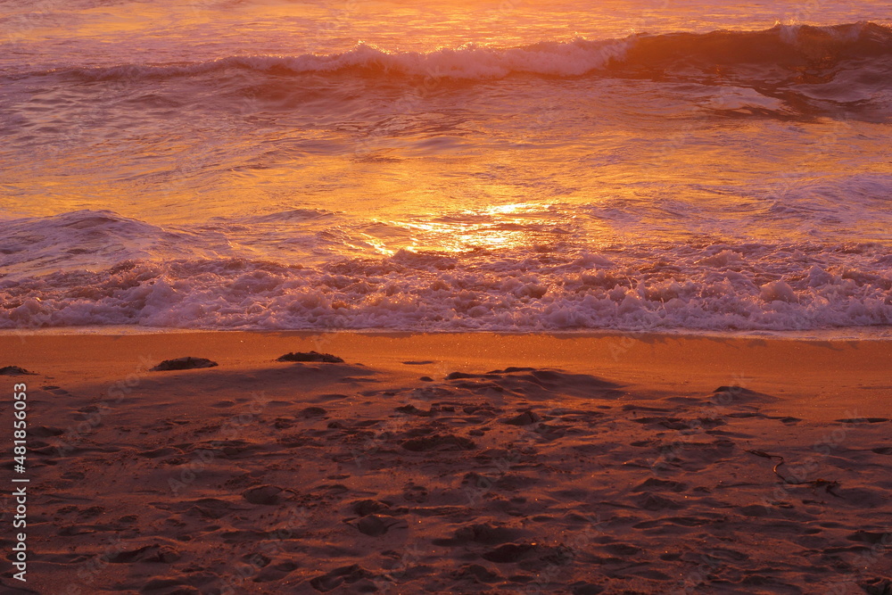 Fototapeta premium olas en la orilla de la playa en el atardecer