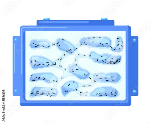 Set ant farms isolated on white background. Formicaria from plaster. Ants in tunnels moving into terrarium.