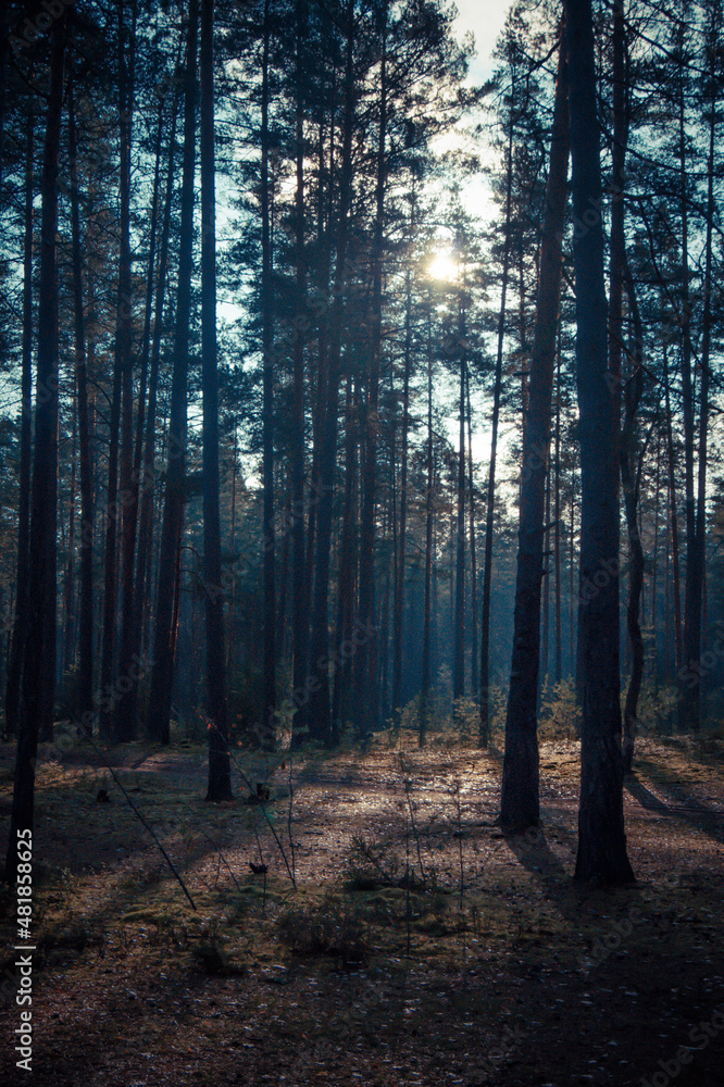 Obraz premium заброшенные места