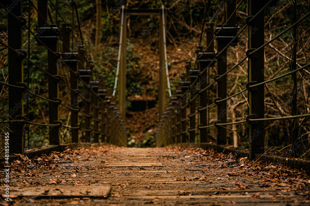 Suspension Bridge on Trail No. 4 on Mt. Takao, which is one of the more popular trails due to