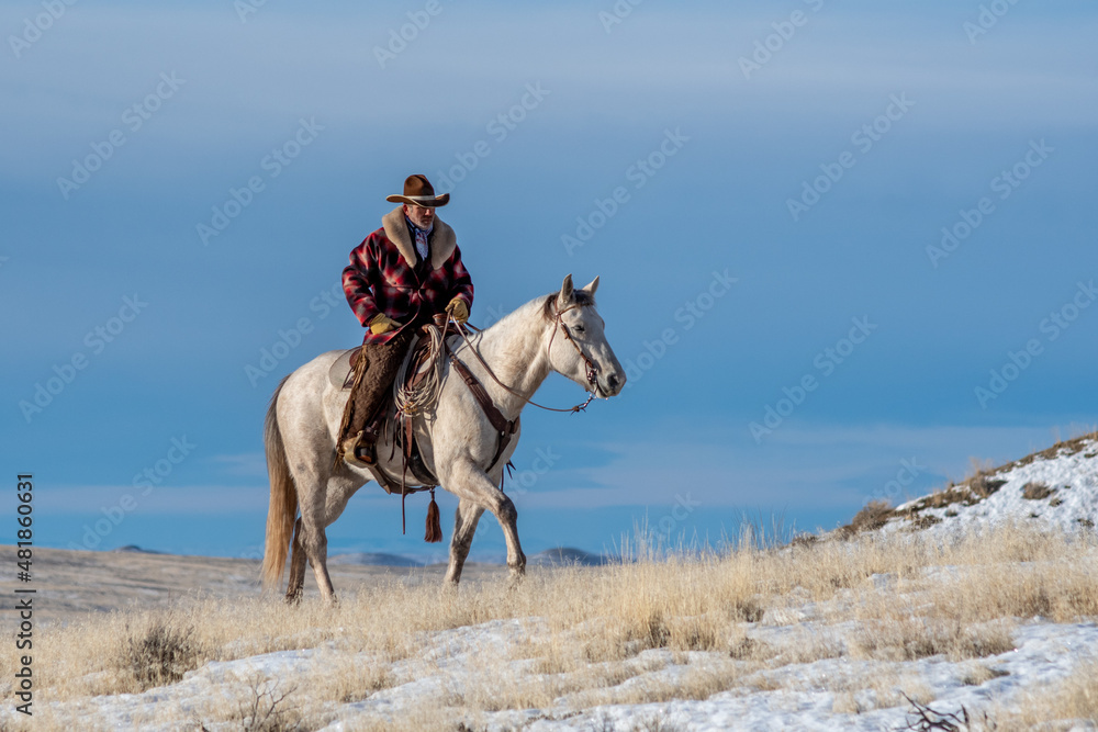 Cowboy on a ride Cowboy on a ride