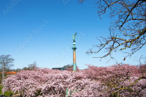 Statue of ancient goddess Victoria (Nick) with palm branch in hand at Langelinie Park in Copenhagen, Denmark. Cherry blossom  in urban park. Sakura Festival.