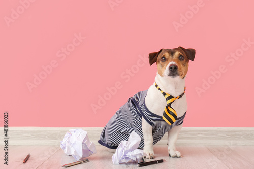 Business dog with crumpled documents on color background