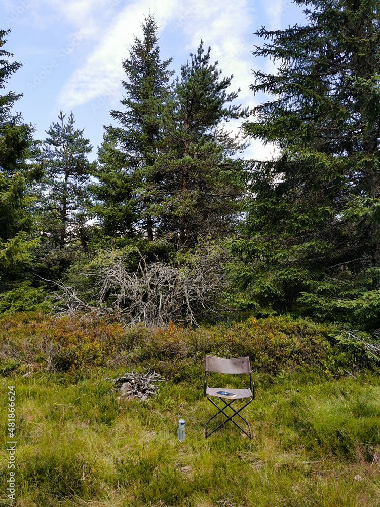 Invitation à la lecture, détente et loisirs en forêt du Liconès, Saint-Privat-du-Fau, Massif central, Lozère, Occitanie, France Invitation à la lecture, détente et loisirs en forêt du Liconès, Saint-Privat-du-Fau, Massif central, Lozère, Occitanie, France