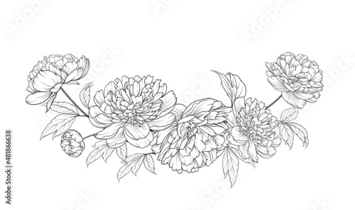 Black silhouette of a garland of peonies flowers. Vector illustration on white background.
