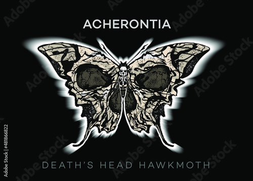 Acherontia. Death's Head Hawkmoth. Vector abstract illustration isolated on black background in the style of modern grunge tattoos. photo