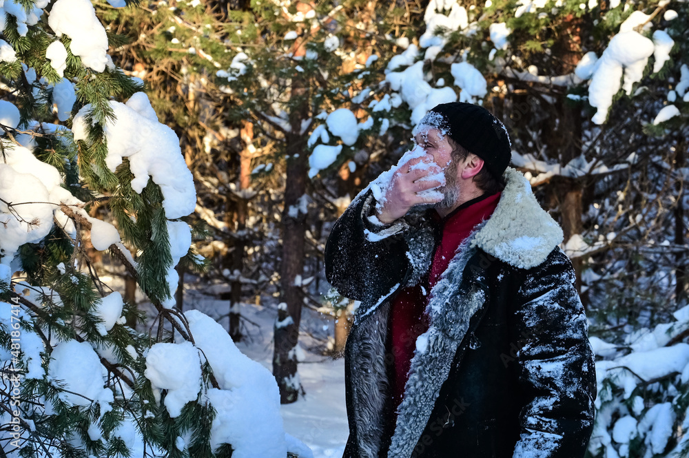 brutal man with beard in warm sheepskin coat washes his face with snow in forest. Person survives in difficult conditions, endurance and tempering. Winter Adventure brutal man with beard in warm sheepskin coat washes his face with snow in forest. Person survives in difficult conditions, endurance and tempering. Winter Adventure