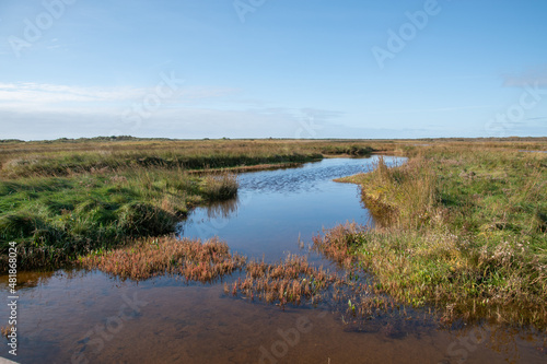 Feuchtwiesen sowie offene Wasser- und Schilfflächen findet man in der Gegend des Greune Stee im Süden der Ostfriesischen Insel Borkum.